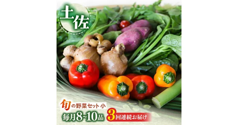 【ふるさと納税】定期便 土佐の太陽をいっぱいに浴びた旬の野菜セット小 (3回配送)【土佐野菜】[ATBA005]