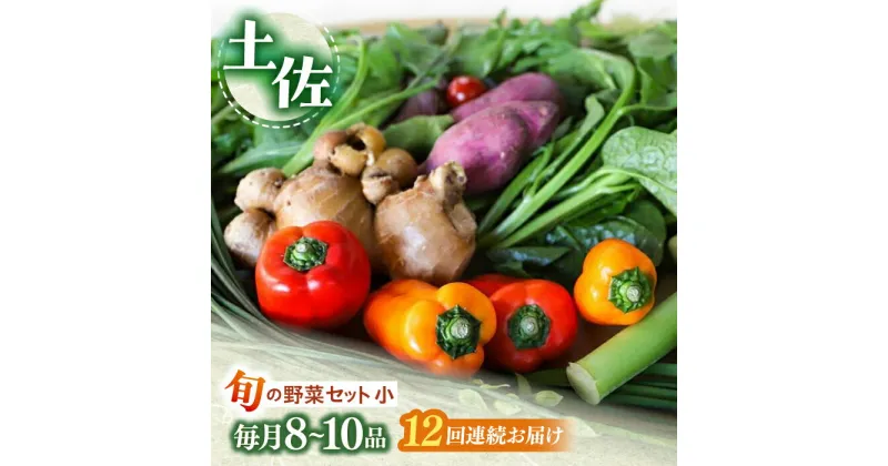 【ふるさと納税】【12回定期便】 土佐の太陽をいっぱいに浴びた旬の野菜セット小 【土佐野菜】[ATBA007]