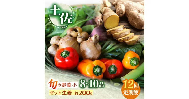 【ふるさと納税】定期便 土佐の太陽をいっぱいに浴びた旬の野菜生姜約200gのセット「小」 (12回配送)【土佐野菜】[ATBA013]