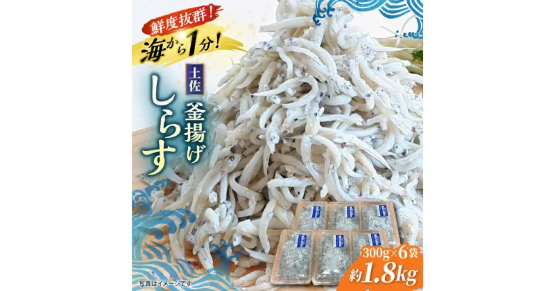 【ふるさと納税】釜揚げしらす 約1.8kg (約300g×6袋) 浜で瞬時に釜出し 高知のしらす 【グレイジア株式会社】[ATAC081]