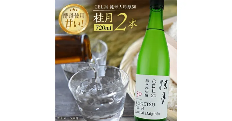 【ふるさと納税】桂月 CEL24 純米大吟醸50 720ml 2本 日本酒 地酒 【近藤酒店】[ATAB083]