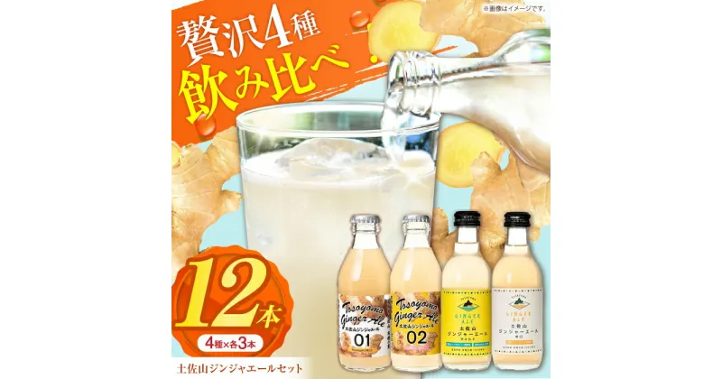 【ふるさと納税】土佐山ジンジャーエール 飲み比べ4種セットA (200ml×12本入り)【一般財団法人夢産地とさやま開発公社】[ATBH007]