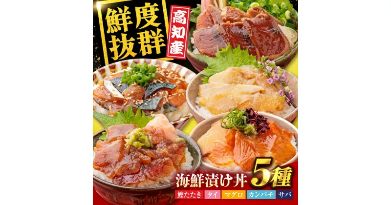 【ふるさと納税】高知の魚5種類が味わえる海鮮漬け丼セット タイ マグロ カンパチ 鰹たたき サバ 【株式会社 七和】[ATAX007]