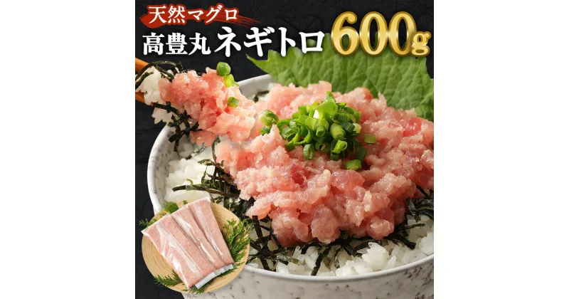 【ふるさと納税】 ネギトロ 600g ふるさと納税 限定 小分けパック 個包装 簡単解凍 小分け 訳あり 冷凍 高豊丸 天然マグロ 高品質 ネギトロ丼 おかず 海鮮 魚介 惣菜 魚 まぐろたたき まぐろのたたき 冷凍 個装 メバチマグロ 便利 簡単 個食 一人暮ら お手軽 どんぶり