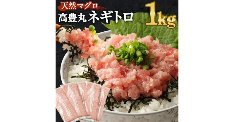 【ふるさと納税】 訳あり ネギトロ 1kg 個包装 冷凍 天然マグロ 魚 惣菜 (200g×5パック) 高豊丸 高品質 まぐろたたき まぐろのたたき ねぎとろ丼 小分け 魚 魚介 鮪 マグロ 寿司 すし 海鮮 おかず 海鮮丼 手巻き寿司 キハダ メバチ 10000円 故郷納税 送料無料