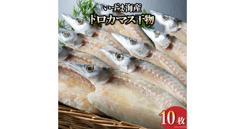 【ふるさと納税】トロカマス 干物 セット 10枚 室戸海洋深層水仕込み 詰め合わせ かます 魚 海鮮 魚介類 惣菜 おつまみ 冷凍 送料無料 iz001