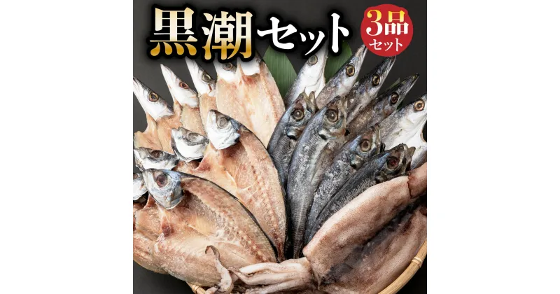 【ふるさと納税】黒潮セット 干物 3種類 詰め合わせ (アジ開き10枚 カマス開き10枚 スルメイカ1枚) 室戸海洋深層水仕込み 魚 魚介類 干物 イカ するめいか あじ 鯵 かます ? 魚 海鮮 魚介類 惣菜 おつまみ 冷凍 送料無料 iz002