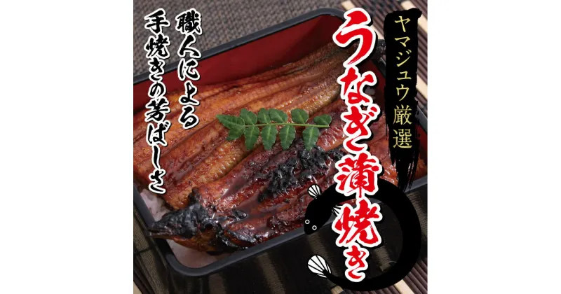 【ふるさと納税】厳選 うなぎ 1尾 約175g〜180g タレ付き ウナギ 鰻 蒲焼き かば焼き 加工品 魚 魚介類 ヤマジュウ 送料無料 yj005