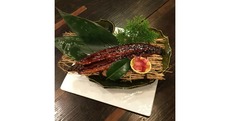 【ふるさと納税】室戸の炙り鯖寿司 (325g) うなぎの蒲焼き (140g) 2種類 セット 魚 寿司 お寿司 和食 惣菜 さば サバ ウナギ 鰻 冷蔵 送料無料 sz012