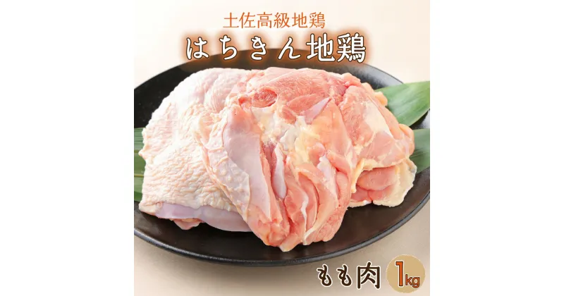 【ふるさと納税】はちきん地鶏 もも肉 1kg モモ肉 鶏肉 鳥肉 とり肉 バーベキュー バーベキューセット BBQ BBQセット キャンプ キャンプ飯 焼肉 焼き肉 低カロリー 高タンパク 高たんぱく 冷凍 国産 送料無料