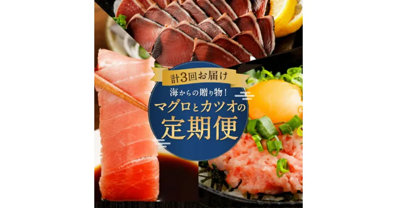 【ふるさと納税】【3回定期便】海からの贈り物！マグロとカツオの定期便 まぐろ カツオのたたき ネギトロ 中トロ 刺身 海鮮 鰹 冷凍 コロナ 魚 海産物 魚介類 高知県 まぐろたたき 鮪 緊急支援品 藁焼き わら焼き 訳あり 不揃い 傷 規格外 故郷納税 送料無料