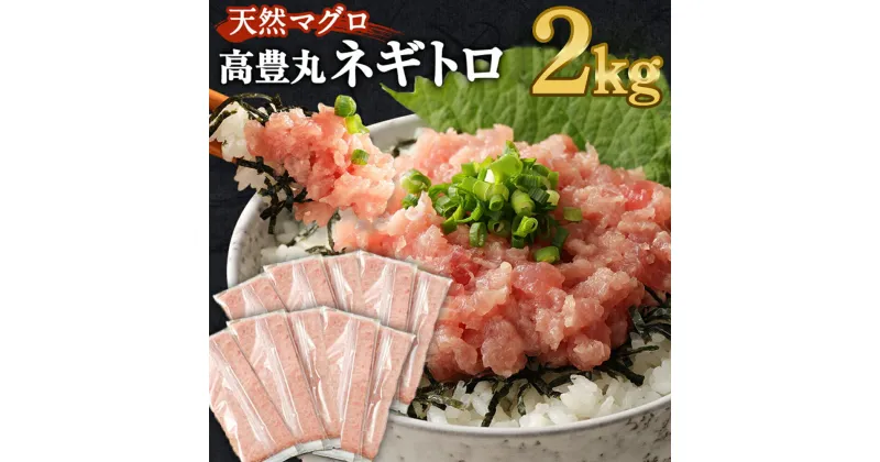 【ふるさと納税】【訳あり】【緊急支援品】高豊丸 ネギトロ 2kg (200g×10パック) ふるさと納税限定 高品質 ねぎとろ マグロ 鮪 まぐろ たたき まぐろのたたき 訳あり おかず 魚介 魚 寿司 すし 海鮮 小分け 海鮮丼 手巻き寿司 冷凍 故郷納税 送料無料