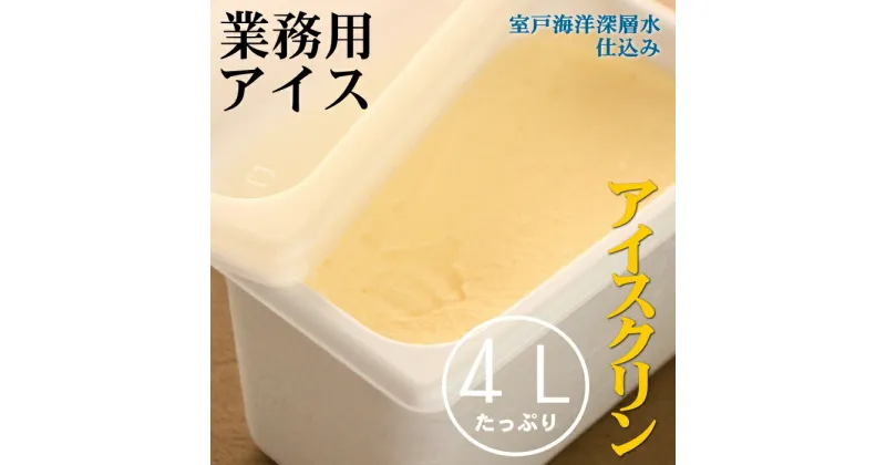 【ふるさと納税】うみのバニラ 4L 4リットル 低カロリー 高知名物 業務用 大容量 家庭用 アイス アイスクリーム デザート スイーツ アイスクリン お菓子 送料無料 mt008