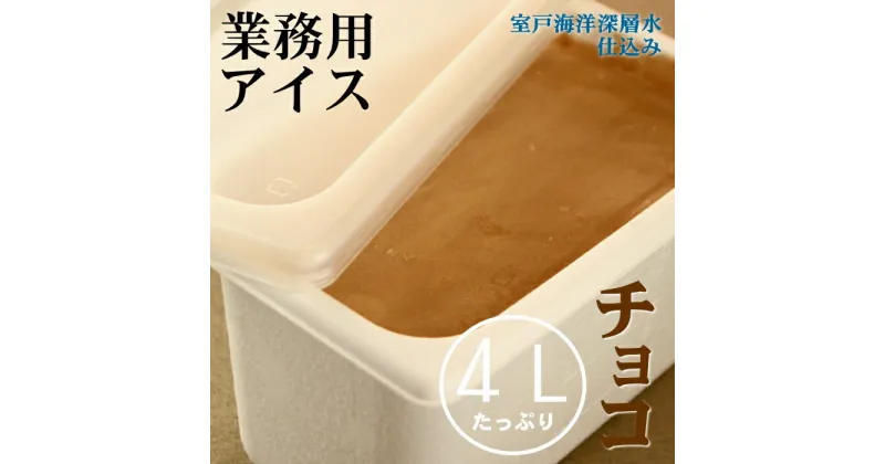 【ふるさと納税】チョコ アイス 4L 4リットル 業務用 大容量 家庭用 チョコレート アイスクリーム デザート スイーツ お菓子 送料無料 mt012