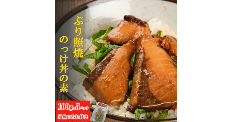 【ふるさと納税】ブリ照焼丼の素 〜ぶり照焼のっけ丼の素・地魚つみれセット〜 魚 魚介類 さば 干物 みりん干し 漬け 酢締め 味噌煮＜iz010＞