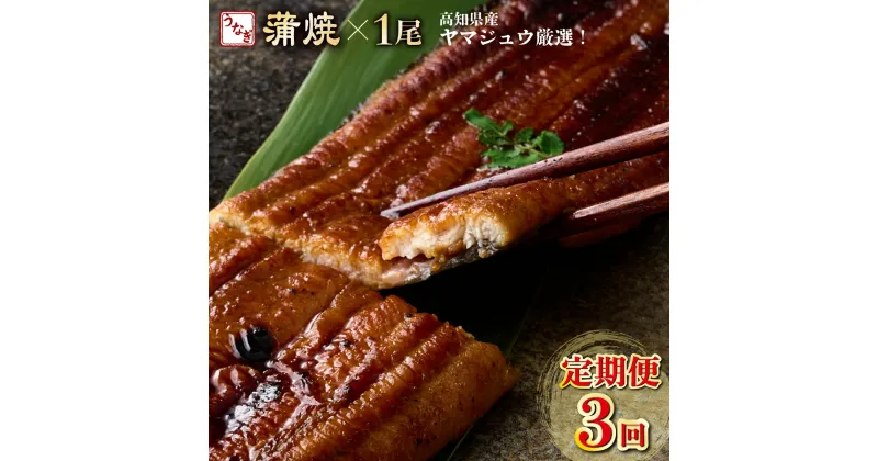 【ふるさと納税】【3回定期便】ヤマジュウ厳選! 国産 ウナギ 蒲焼き 1尾(約175g〜180g)×3回 3ヶ月 タレ付き 鰻 うなぎ かば焼き 加工品 魚 魚介類 高知県産 冷凍 送料無料 yj043