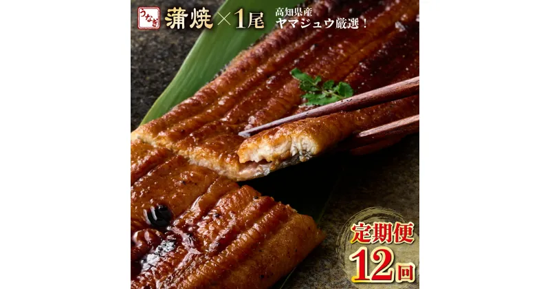 【ふるさと納税】【12回定期便】ヤマジュウ厳選! 国産 ウナギ 蒲焼き 1尾(約175g〜180g)×12回 12ヶ月 タレ付き 鰻 うなぎ かば焼き 加工品 魚 魚介類 高知県産 冷凍 送料無料 yj045