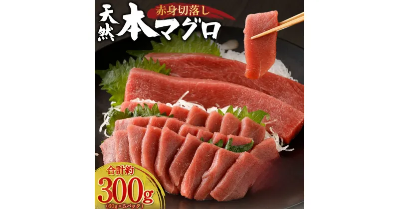 【ふるさと納税】天然本まぐろ 赤身 切落し お手軽 ちょこっとパック 60g×5パック 合計300g 食べきりサイズ 切り落とし お刺身 魚介類 海鮮 小分け 魚 海産物 魚貝 マグロ 高知県 簡単解凍 簡単調理 惣菜 訳あり 規格外 不揃い コロナ 緊急 冷凍 送料無料