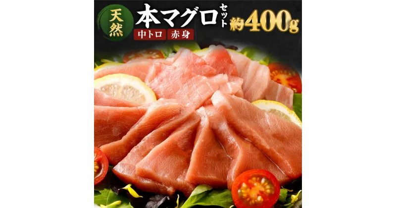 【ふるさと納税】厳選天然本マグロ 2種類 合計約400g (中トロ200g・赤身200g) 食べ比べ サク ブロック 魚 惣菜 刺身 まぐろ丼 手巻き寿司 海鮮丼 冷凍 送料無料 ge010