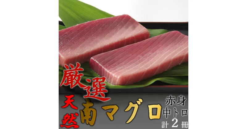 【ふるさと納税】【中トロ】【赤身】天然南マグロ　中トロ1冊　赤身1柵 刺身 漬け丼 海鮮丼 マグロ丼 ちらし寿司 ネギトロ丼 魚介 惣菜 冷凍 送料無料 eb008