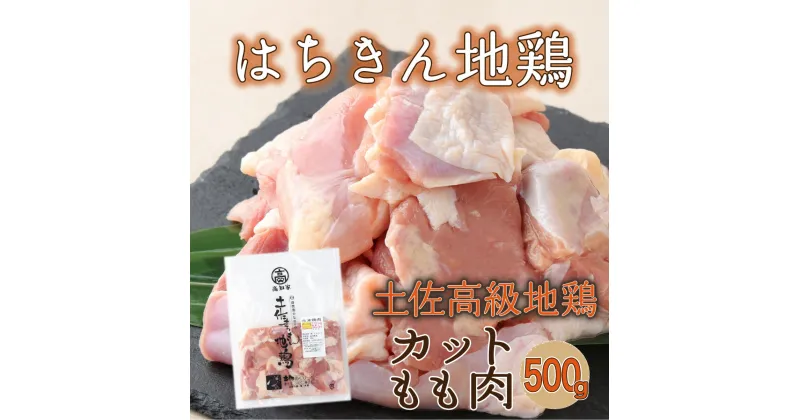 【ふるさと納税】【2〜3人前】はちきん地鶏のモモ肉　500gカット 国産 鶏肉 バーベキュー バーベキューセット BBQ BBQセット キャンプ キャンプ飯 焼肉 焼き肉 低カロリー 高タンパク 高たんぱく 鍋 惣菜 唐揚げ 6000円 冷凍 送料無料