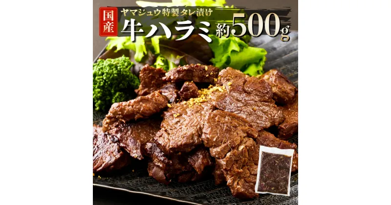 【ふるさと納税】ヤマジュウの特製タレ漬け！牛ハラミ肉500g おかず 惣菜 冷凍 漬け 牛 希少部位 小分け BBQ バーベキュー アウトドア グランピング キャンプ 牛肉 15,000円 送料無料 yj061