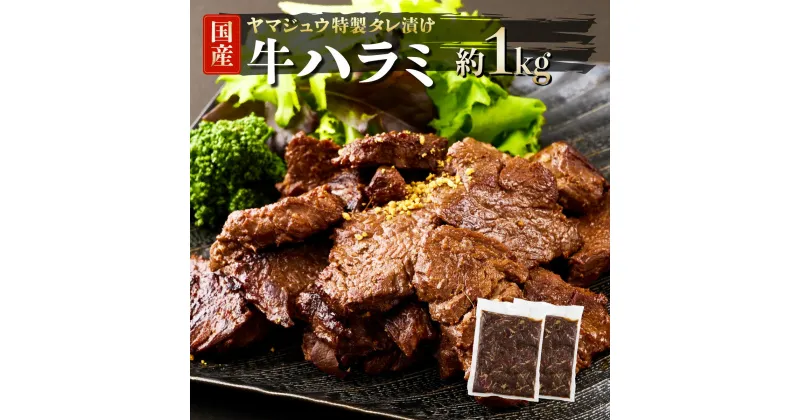 【ふるさと納税】ヤマジュウの特製タレ漬け！牛ハラミ肉1kg yj062