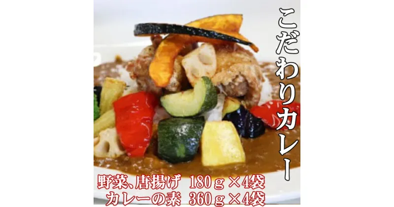 【ふるさと納税】お家でスープカレー　ちと辛いぞね kd005