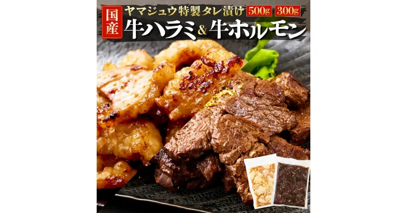 【ふるさと納税】ヤマジュウの特選タレ漬け！牛ハラミ肉500g＆国産牛ホルモン300g yj065