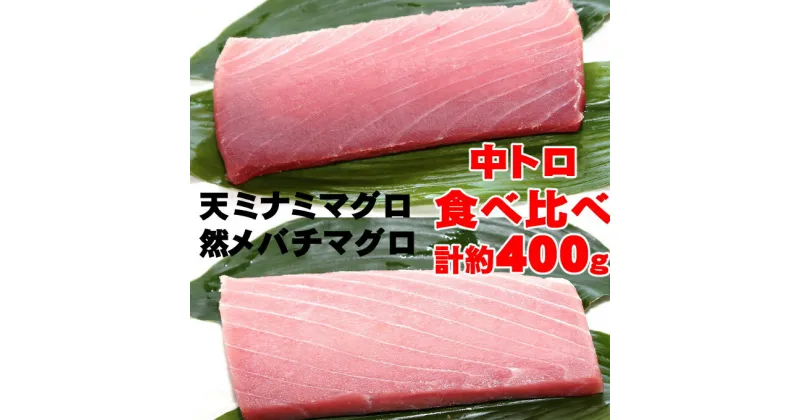 【ふるさと納税】こだわりの天然ミナミマグロ　天然メバチマグロ食べくらべセット　中トロ各1柵 mh013