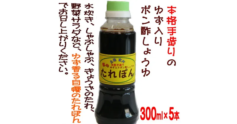 【ふるさと納税】たれぽん（ぽん酢しょうゆ）【5本入り】タレポン ポン酢 調味料 タレ ポン酢しょうゆ 常温 送料無料 in002