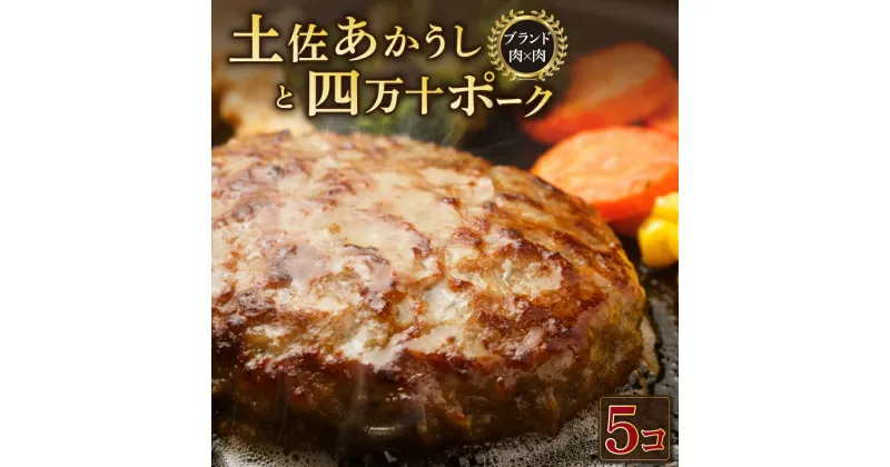 【ふるさと納税】土佐あかうしと四万十ポークのハンバーグ　5個セット 惣菜 おかず 冷凍 小分け 豚 高知県 牛 四万十ポーク 土佐あかうし 赤牛 赤うし 国産 温めるだけ 湯煎 送料無料 yj070