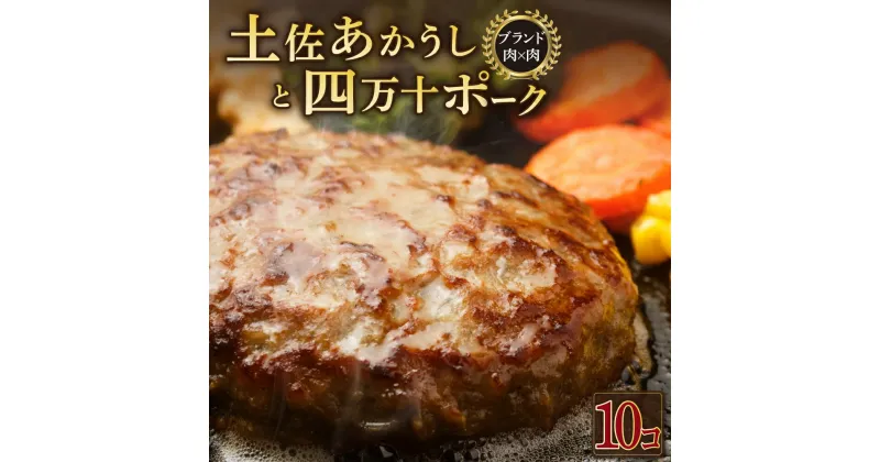 【ふるさと納税】土佐あかうしと四万十ポークのハンバーグ　10個セット 惣菜 おかず 冷凍 小分け 豚 高知県 牛 四万十ポーク 土佐あかうし 赤牛 赤うし 国産 温めるだけ 湯煎 送料無料 yj071