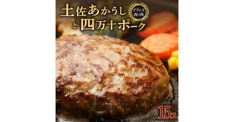 【ふるさと納税】土佐あかうしと四万十ポークのハンバーグ　15個セット 惣菜 おかず 冷凍 小分け 豚 高知県 牛 四万十ポーク 土佐あかうし 赤牛 赤うし 国産 温めるだけ 湯煎 送料無料 yj072