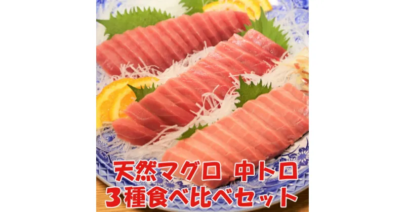 【ふるさと納税】天然マグロ中トロ3種食べくらべセット（本マグロ、ミナミマグロ、メバチマグロ　中トロ　各1柵） mh017