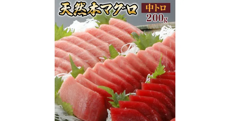 【ふるさと納税】天然本マグロ　中トロ　1柵（200g） 刺身 漬け丼 海鮮丼 マグロ丼 ちらし寿司 鮪 まぐろ ネギトロ丼 魚介 惣菜 冷凍 送料無料 ＜eb012＞