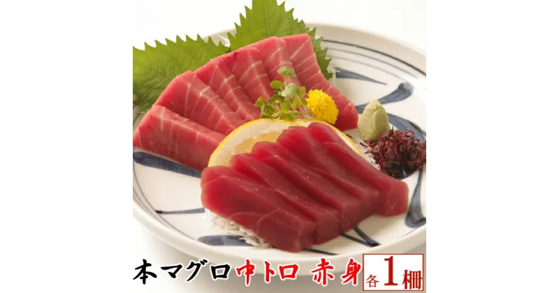 【ふるさと納税】天然本マグロ　本マグロ　中トロ・赤身　各1柵　（計400g） 刺身 漬け丼 海鮮丼 マグロ丼 ちらし寿司 鮪 まぐろ ネギトロ丼 魚介 惣菜 冷凍 送料無料 ＜eb014＞