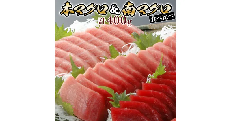 【ふるさと納税】天然本マグロ　南マグロ　中トロ各1柵　（計400g）　食べ比べ 刺身 漬け丼 海鮮丼 マグロ丼 ちらし寿司 鮪 まぐろ ネギトロ丼 魚介 惣菜 冷凍 送料無料 eb016