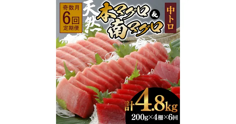 【ふるさと納税】【6回定期便】天然本マグロ　天然南マグロ　中トロ　各2柵　奇数月にお届け 刺身 漬け丼 海鮮丼 マグロ丼 ちらし寿司 鮪 まぐろ ネギトロ丼 魚介 惣菜 冷凍 送料無料 ＜eb003＞