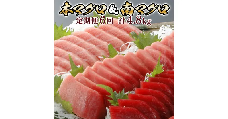 【ふるさと納税】【6回定期便】天然本マグロ　天然南マグロ　中トロ　各2柵　偶数月にお届け 刺身 漬け丼 海鮮丼 マグロ丼 ちらし寿司 鮪 まぐろ ネギトロ丼 魚介 惣菜 冷凍 送料無料 ＜eb004＞