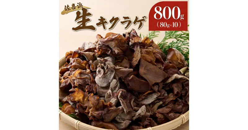 【ふるさと納税】佐喜浜キクラゲ（生）　計800g　きくらげ 木耳 80g×10袋詰め合わせセット 室戸海洋深層水 国産 野菜 きのこ キノコ 小分け セット 10000円 1万円 送料無料 nc005