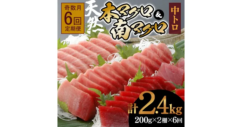 【ふるさと納税】【6回定期便】天然本マグロ　天然南マグロ　中トロ　各1柵　奇数月にお届け 刺身 漬け丼 海鮮丼 マグロ丼 ちらし寿司 鮪 まぐろ ネギトロ丼 魚介 惣菜 冷凍 送料無料 ＜eb017＞