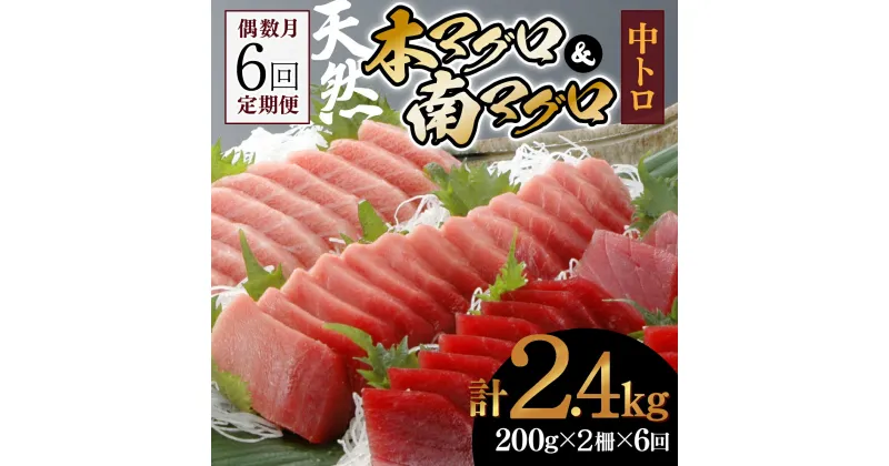 【ふるさと納税】【6回定期便】天然本マグロ　天然南マグロ　中トロ　各1柵　偶数月にお届け 刺身 漬け丼 海鮮丼 マグロ丼 ちらし寿司 鮪 まぐろ ネギトロ丼 魚介 惣菜 冷凍 送料無料 ＜eb018＞