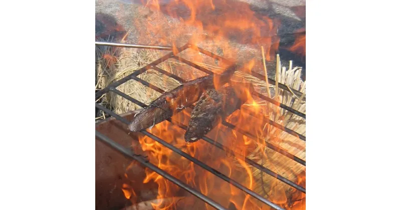 【ふるさと納税】室戸流藁焼きたたきセット　700〜850g 高知県 わら焼き かつお カツオ 鰹 タタキ 12000円 送料無料 iz041