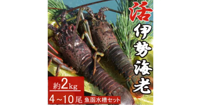 【ふるさと納税】【漁師直送】室戸沖（活）伊勢海老　2kg（4〜10尾）魚函水槽セット〈お刺身・お鍋などにおすすめ〉 天然 国産 魚介 海鮮 惣菜 送料無料