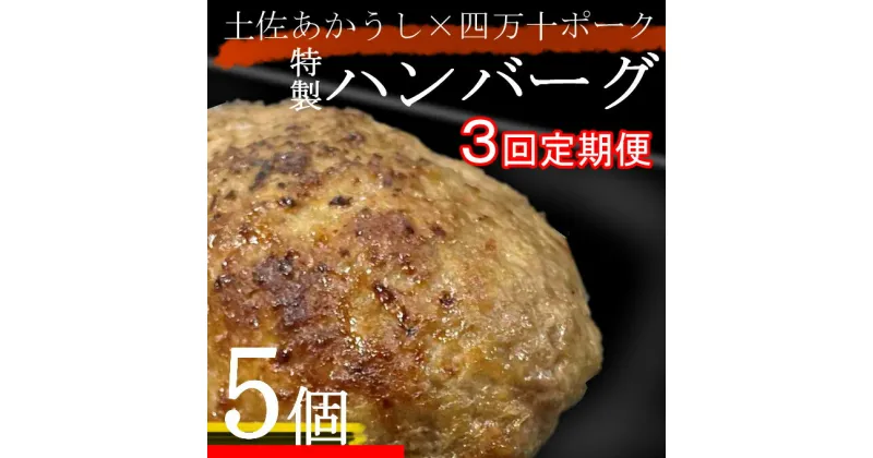 【ふるさと納税】土佐あかうしと四万十ポークのハンバーグ　5個セット【3回定期便】 惣菜 おかず 冷凍 小分け 豚 高知県 牛 四万十ポーク 土佐あかうし 赤牛 赤うし 国産 温めるだけ 湯煎 送料無料 yj082