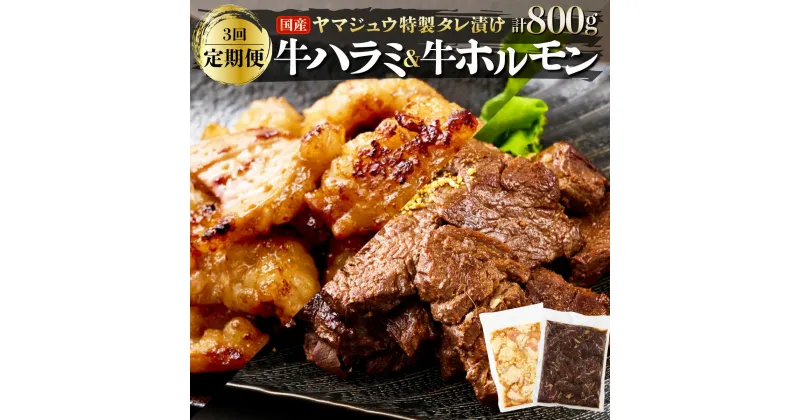 【ふるさと納税】ヤマジュウの特選タレ漬け！牛ハラミ肉＆国産牛ホルモン計800g【3回定期便】 牛 焼肉 ハラミ ホルモン 味付き 国産 定期便 送料無料 yj086