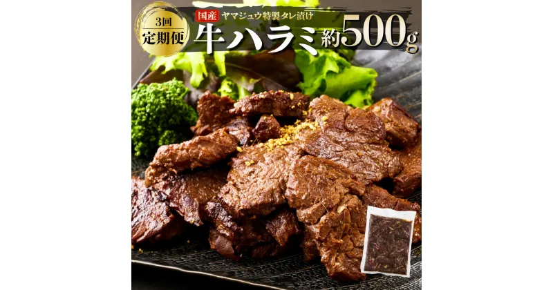 【ふるさと納税】ヤマジュウの特製タレ漬け！牛ハラミ肉500g【3回定期便】牛 ハラミ 焼肉 味付き 定期便 送料無料 yj088