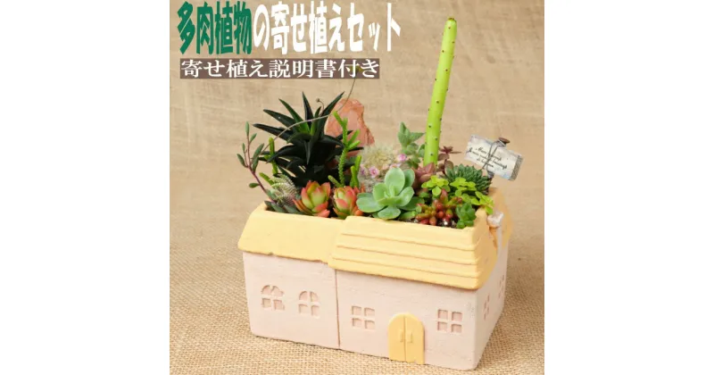 【ふるさと納税】多肉植物の寄せ植えセット（メゾンレクトポット）長屋根（鉢色：ピンク、イエロー、グリーン）寄せ植え説明書付 キット 初心者 おすすめ 多肉植物 寄せ植え アソート sh012