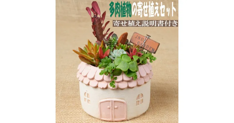 【ふるさと納税】多肉植物の寄せ植えセット（メゾンラウンドポット）丸屋根（鉢色：ピンク、イエロー、グリーン、グレー）寄せ植え説明書付 キット 初心者 おすすめ 多肉植物 寄せ植え アソート sh013